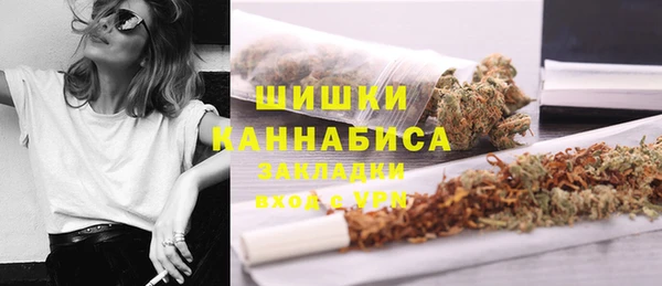 прущие грибы Горнозаводск
