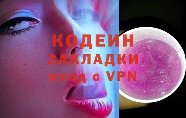 прущие грибы Горнозаводск