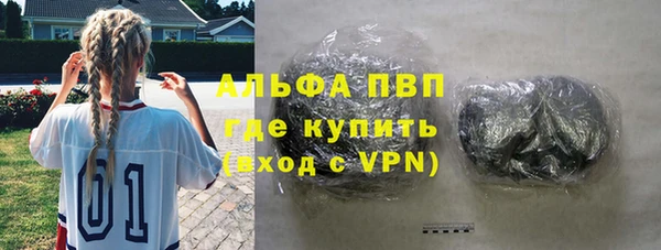 прущие грибы Горнозаводск