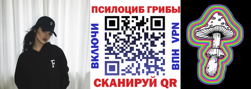 Псилоцибиновые грибы мицелий Сасово