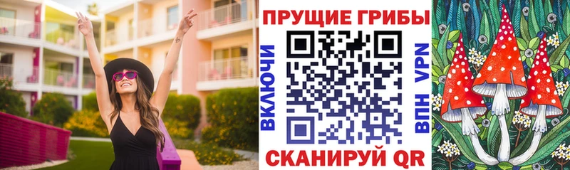 Купить  Сасово  Галлюциногенные грибы мицелий 
